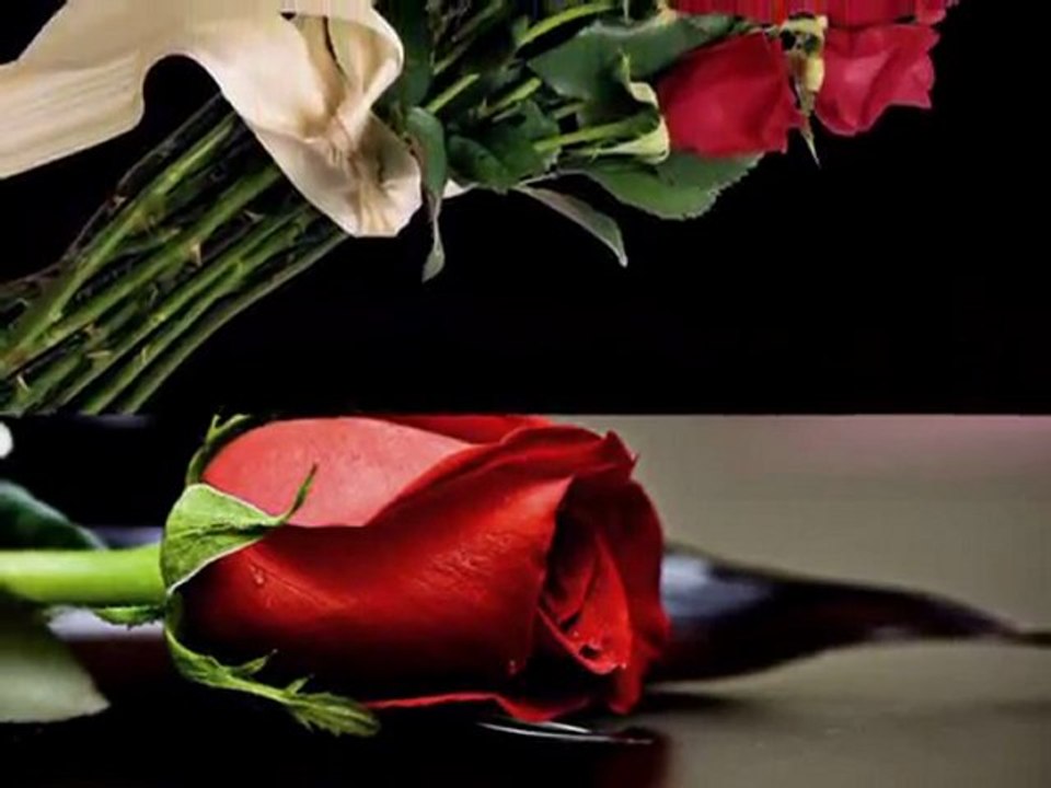 Roses from the South-Strauss