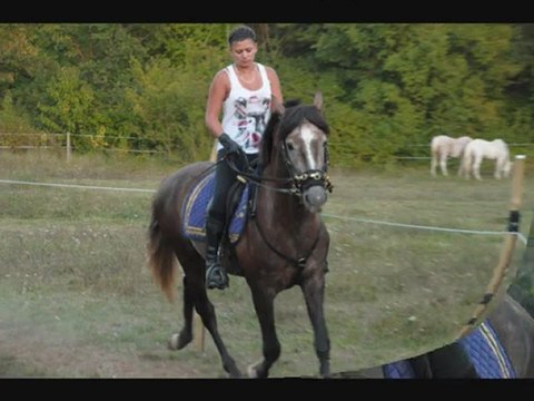 Débourrage Tinto Séance 01.09.2011