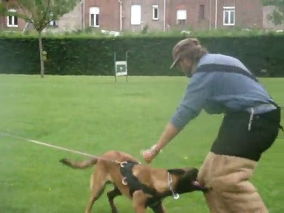 gamin le 11.09.2011 009
