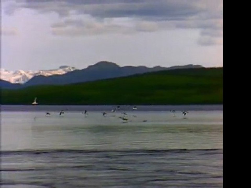 Airsoft Sight Review: Find the best Airsoft Sight for sale. Amazon.com - discount special offers and deals.