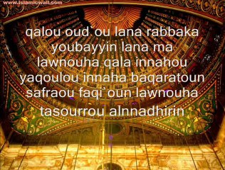 Sourat 2 Al Baqarah la vache verset 69