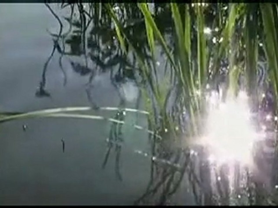 Cabala Revelata 9