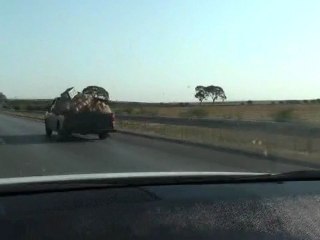 Autoroute de la Tunisie 2011