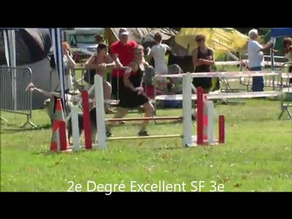 Buck Agility Mouriès 11/09/11