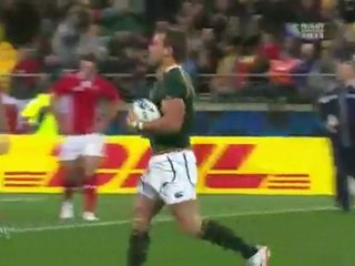 Afrique du Sud-  Galles