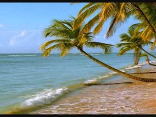 Canarios. Gaspar Sanz. Por Ignacio Ornés