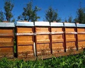 Mehmet Yüksel Eylül 2011