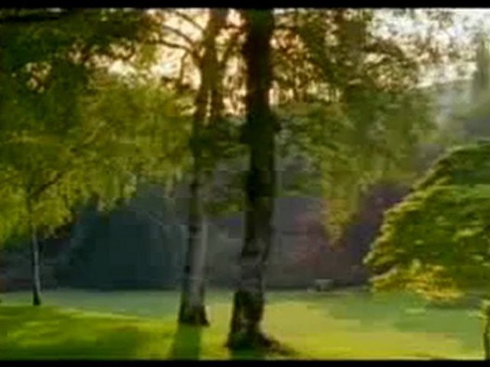 Göz merceği, gözün objektif ayarı