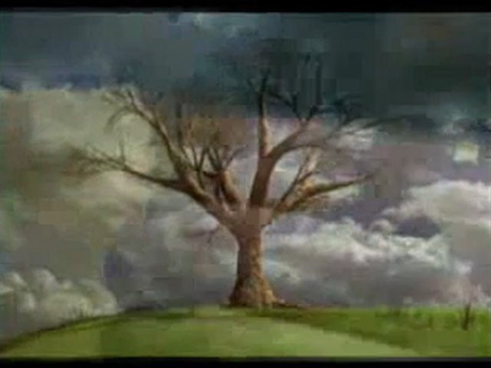 İki göz, tek görüntü