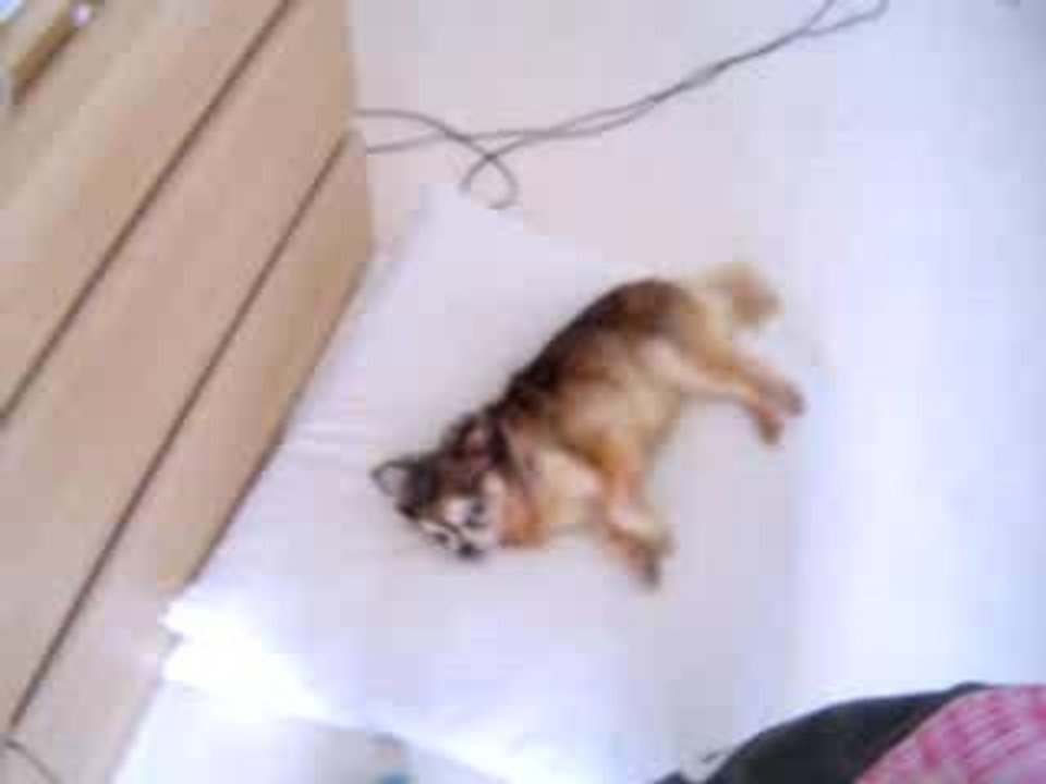 Onyx pour Muriel