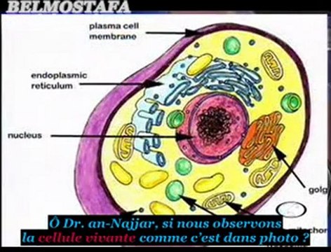 Miracles Scientifiques dans le Coran et la Sunna Ep2 [1 2]