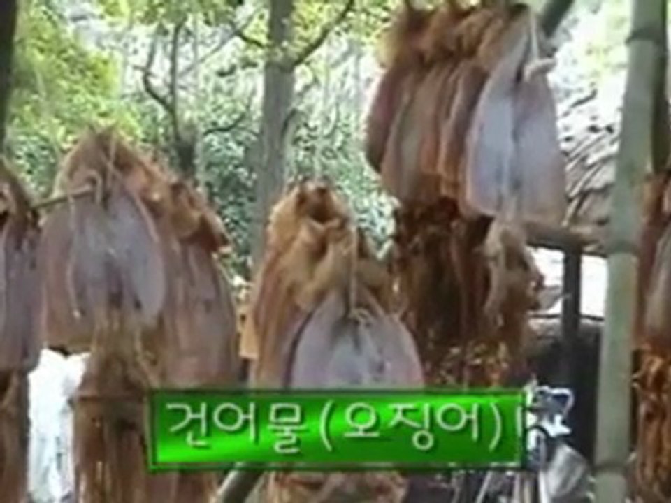 Traditional Korean Village by Segem Consulting, Korean Translation UK Company