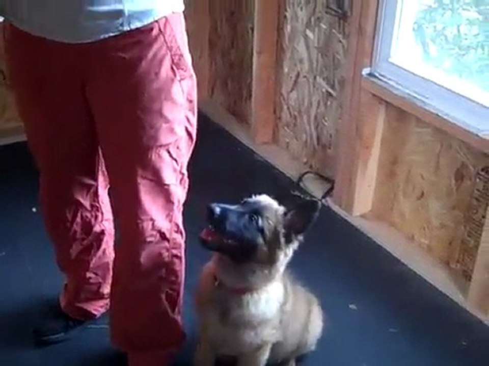 Gaetz - 10 weeks; lesson 3