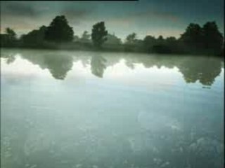 Pub " Zelda : Minish Cap "