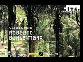 Autour de Roberto Burle Marx