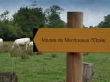 Inauguration du marais de Montceaux-l’Étoile