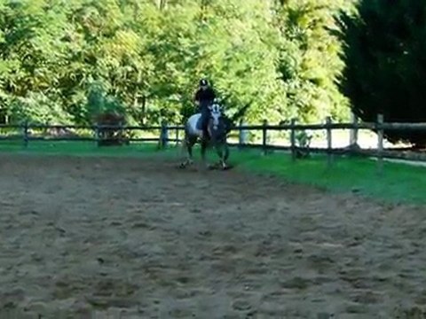 trot assis et petite eed