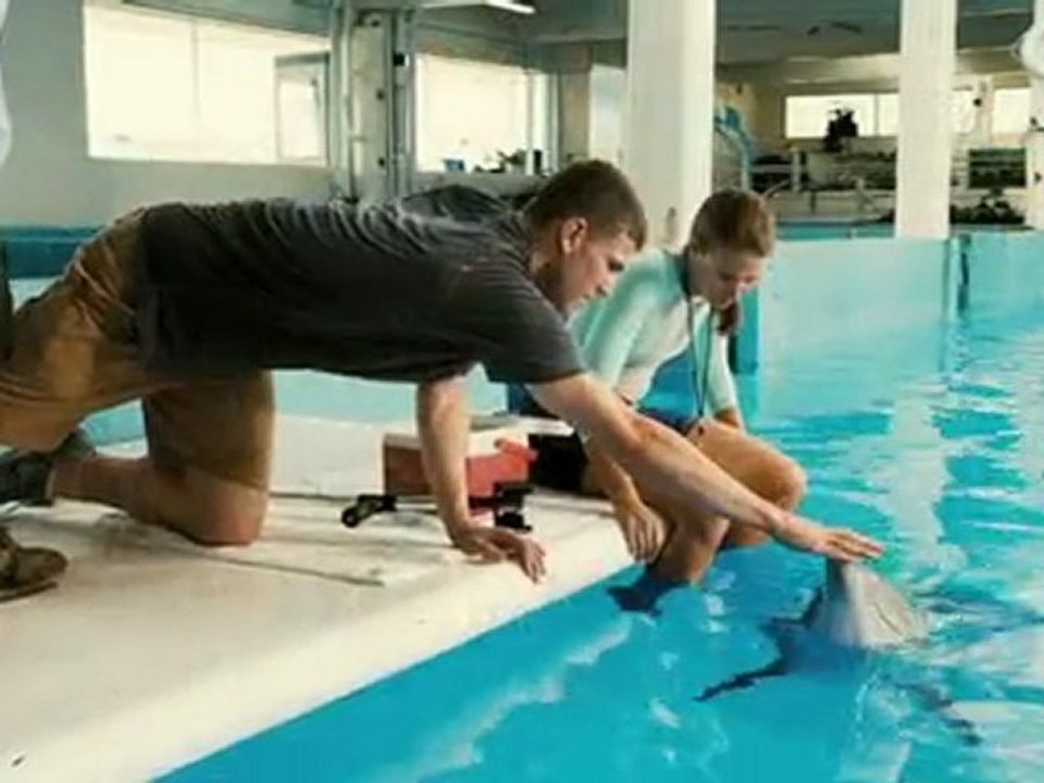 A Dolphin Tale trailer- in UK Cinemas October 14th 2011
