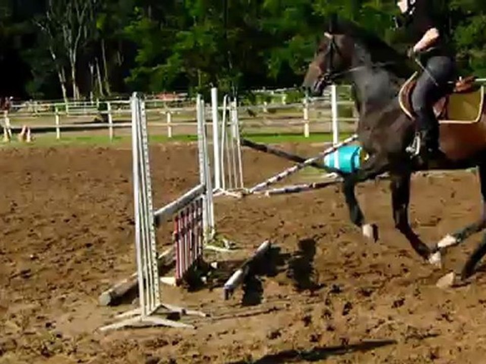 bai brun 3 ans blois monté