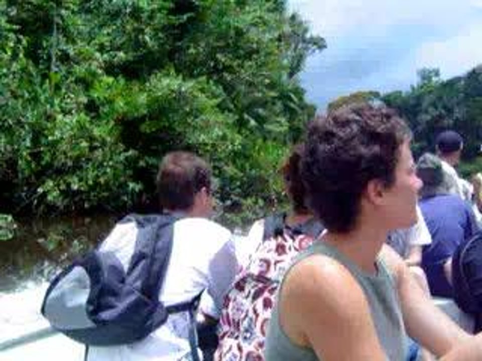 Pirogue