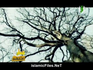 برنامج مسلم وافتخر الحلقة التاسعة عشر