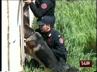 TG 29.10.09 Ceglie, summit criminale interrotto dai carabinieri