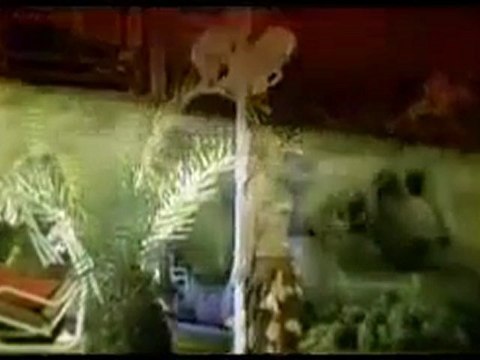 SADEGÜL - SUAT SAYIN -DİLEK DİLEDİM SENİN İÇİN