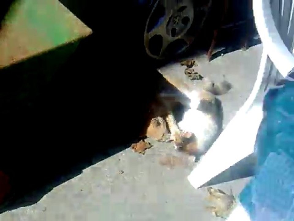 caramel le dur du cartié