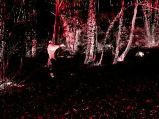 Chapitre 4- L'antre de la folie (le clip)