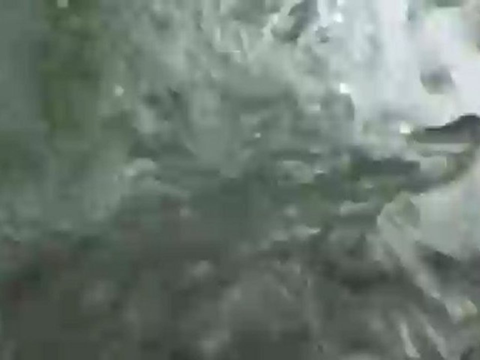 Being Water - présence des mémoires -