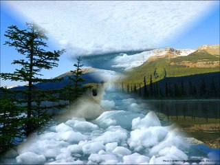 Durban İklim Zirvesi'ne doğru