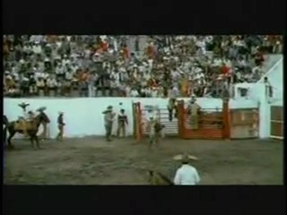 AI, Ai... Vai Doer! 🚀