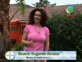 3_CORPOICA MANGO SEPTIEMBRE 12 DE 2011