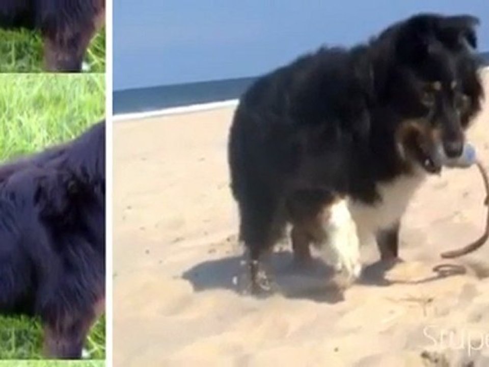 Mein Video von Lisa _)