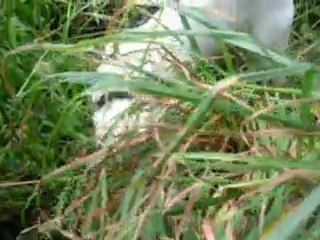 exxon cherchant un " je ne sais quoi"