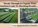homemade hydroponic systems - aquaponics how to - home hydroponics