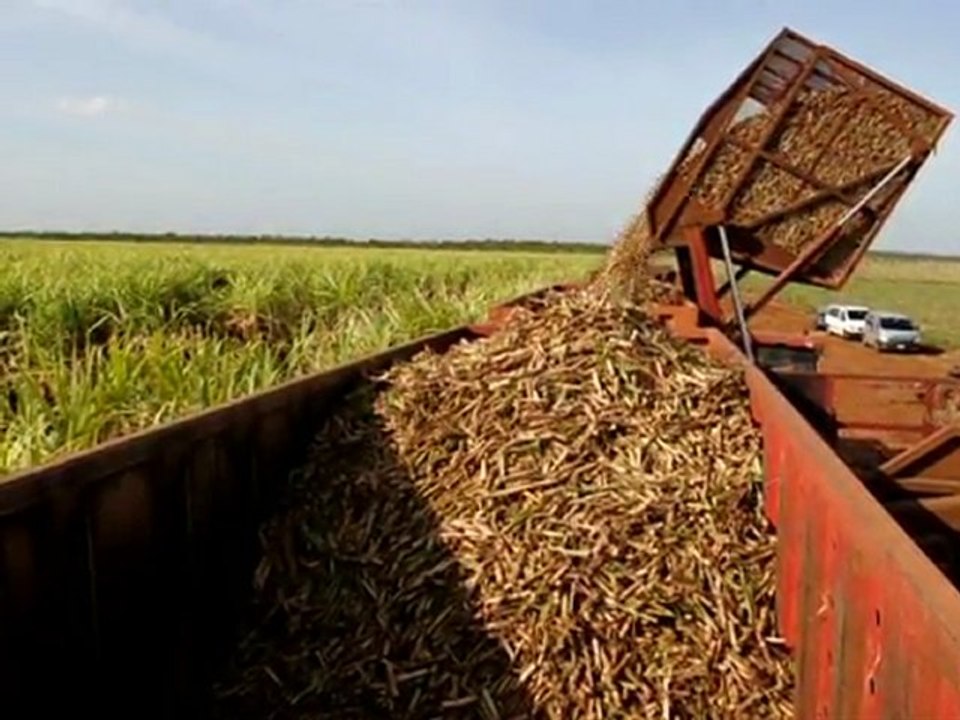 Kubaner lernen Kapitalismus - Schritt für Schritt