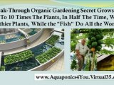 hydroponics gardening - aquaponics made easy - home aquaponics