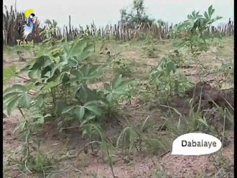 DABALAYE FRANCAIS DU 12 SEPT 2011 SUR TOL TV