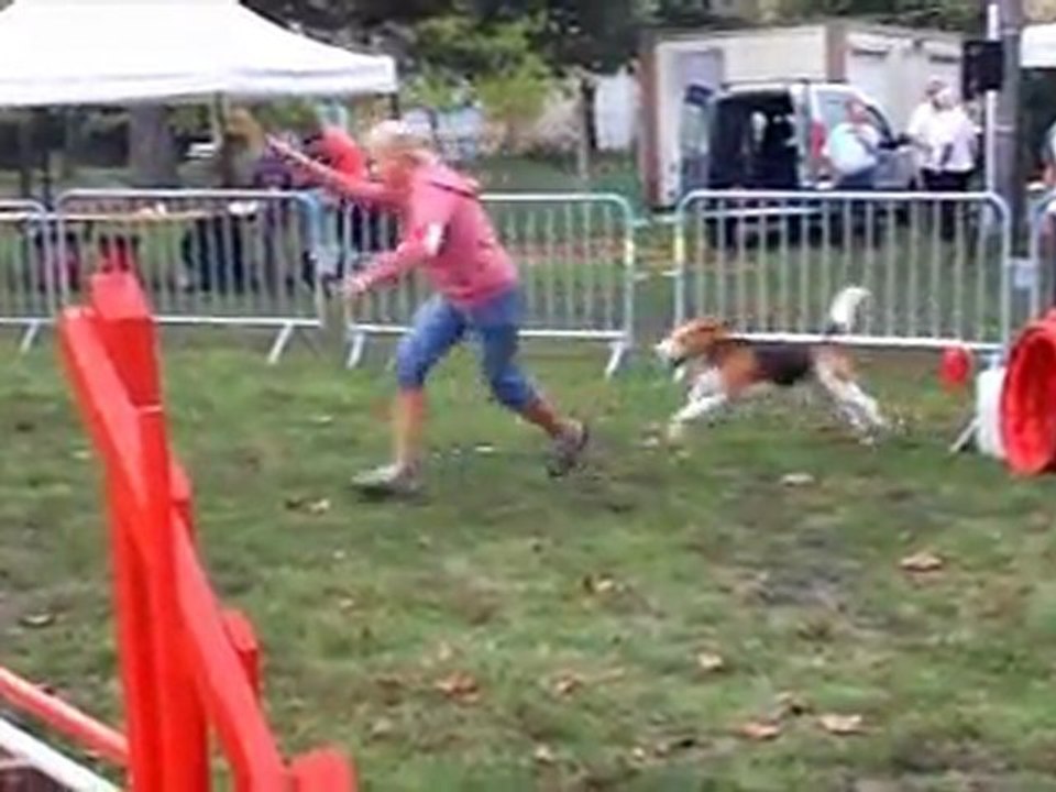 arthur 11 septembre  concours au Canis Club Pessacais Illacais