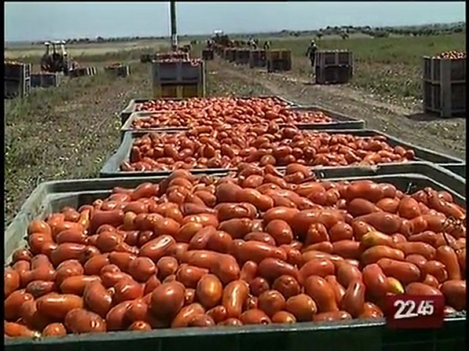 TG 22.01.10 Immigrati schiavi, arrestati imprenditori nel Materano