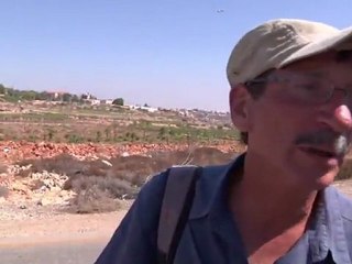 Des colons saccagent des vignobles palestiniens