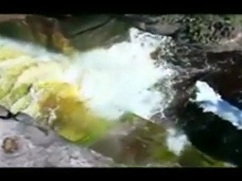 (P2) Les Droits des non Musulmans par Farid el Mekki