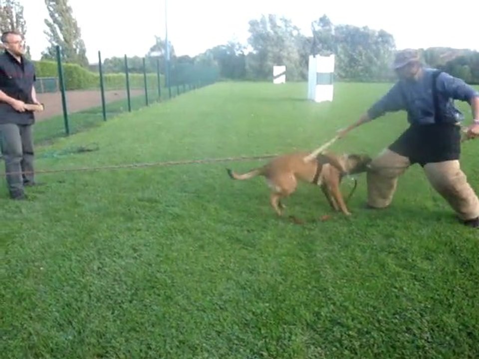 Gamin le 12.09.2011 004