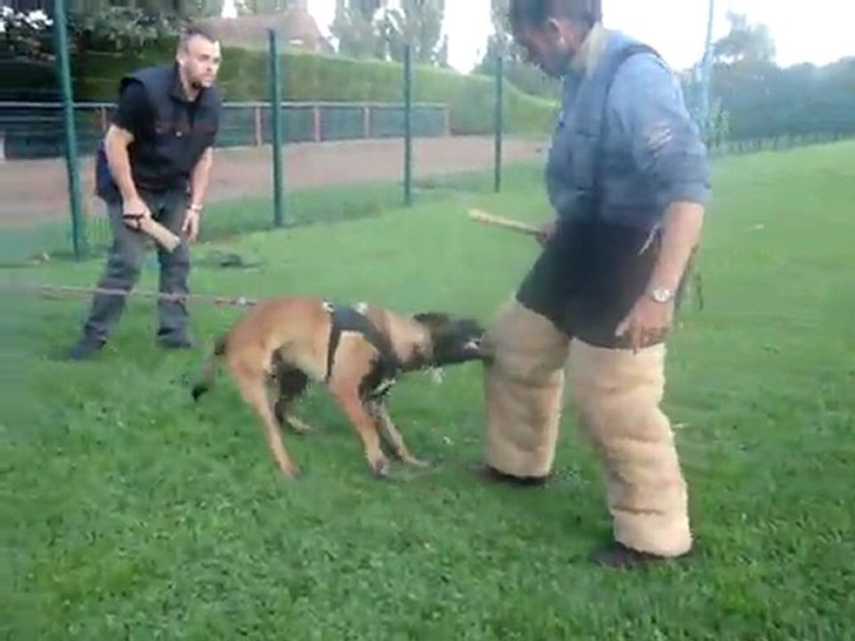 Gamin le 12.09.2011 006