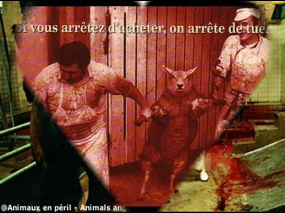 Cédric paquet association Gala