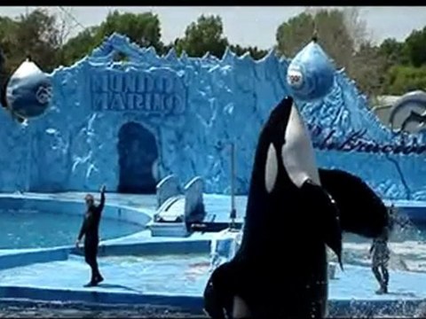 DJ Got Us Fallin' In Love