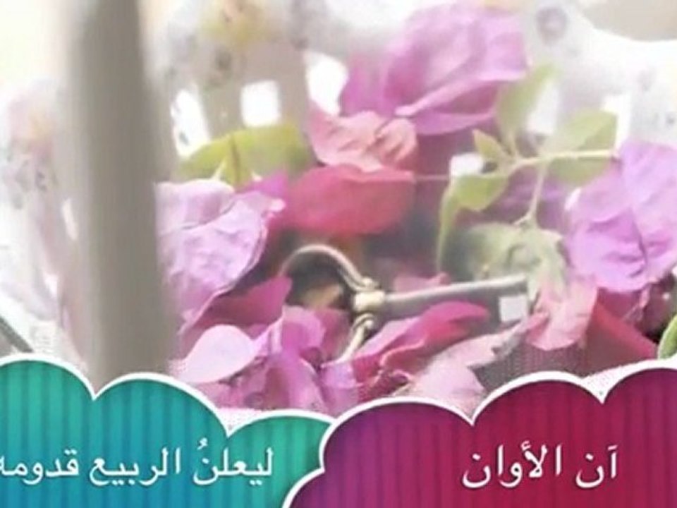 ‫يوما ما ، .. إنعاش ‬