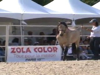 Frédérique Pignon (5)