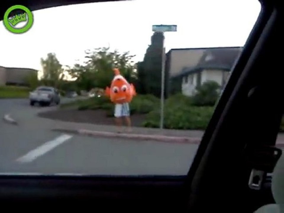 Nemo entdeckt auf dem Land